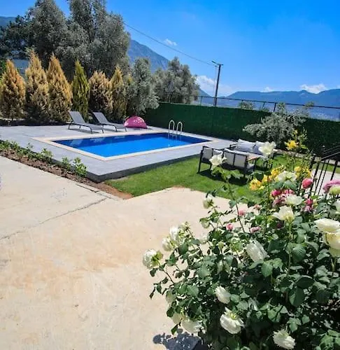 Olive Garden House *