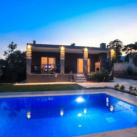 빌라 Olive Garden House *