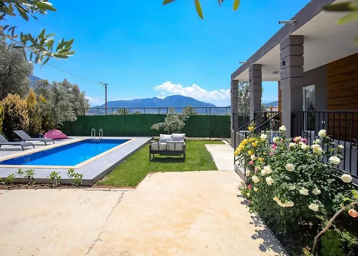 Βίλα Olive Garden House *